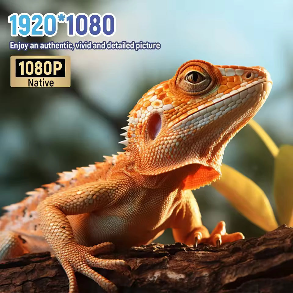 4K High-Quality Images