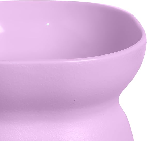 Elevated Cat Bowl