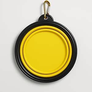 Portable Retractable Silicone Pet Bowl with Carabiner