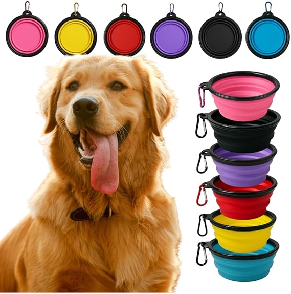 Portable Retractable Silicone Pet Bowl with Carabiner