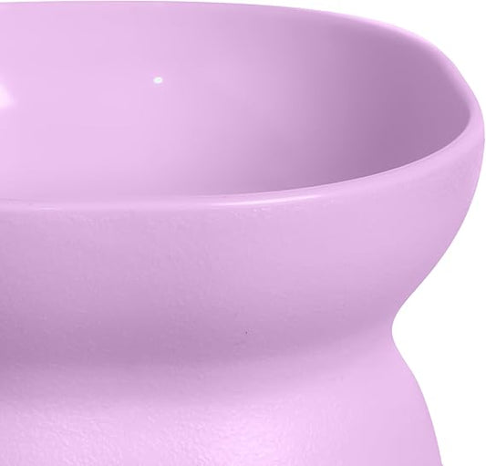 Elevated Cat Bowl